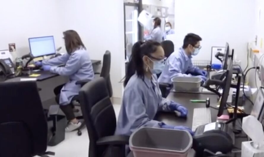 华盛顿大学：120万美国人或死于新冠病毒！