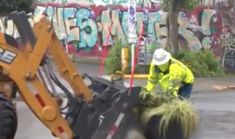 工作人员进入  清除部分“占领区”路障