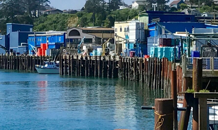 俄勒冈新冠病毒创新高  日增146例