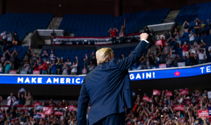 特朗普：可能我错了。