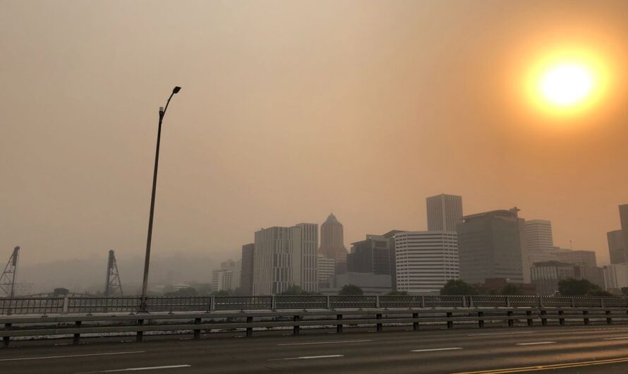 隧道尽头有光亮，新鲜空气在路上！