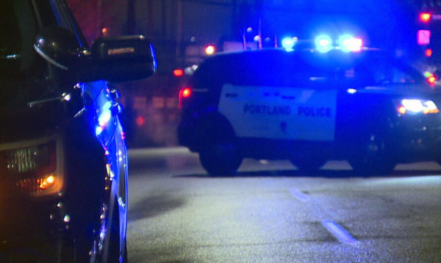 刀光剑影的周末！波特兰枪击砍人纵火频发！