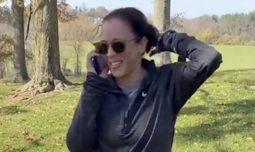 这个视频是真的！哈里斯打电话给拜登！