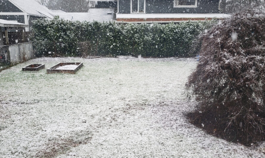 预计星期四晚上在大波特兰地区下雪