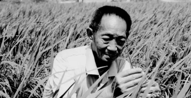 “杂交水稻之父”袁隆平逝世，享年91岁