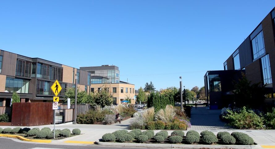 波特兰社区大学不强制打疫苗回校