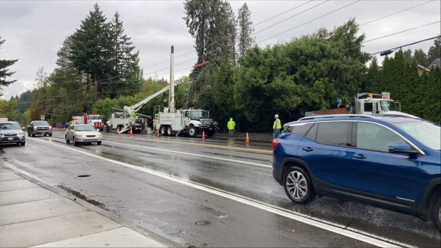 一名男子撞上电线杆死亡