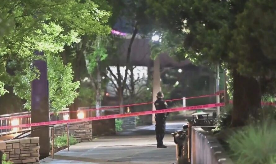 Eastbank Esplanade一女子被枪杀，一男子被捕