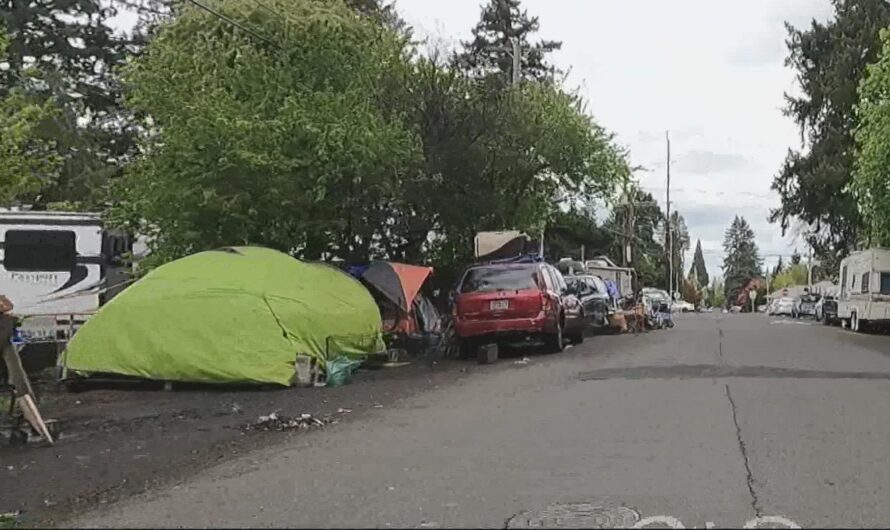 1787多份投诉，无家可归者营地使居民处于危险境地