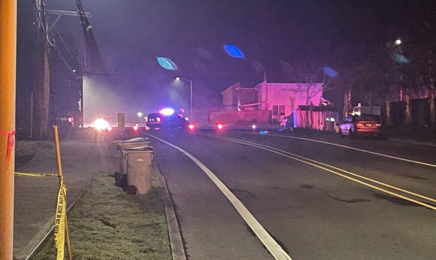 两行人被撞一死一重伤，肇事逃逸者犯下更多罪行