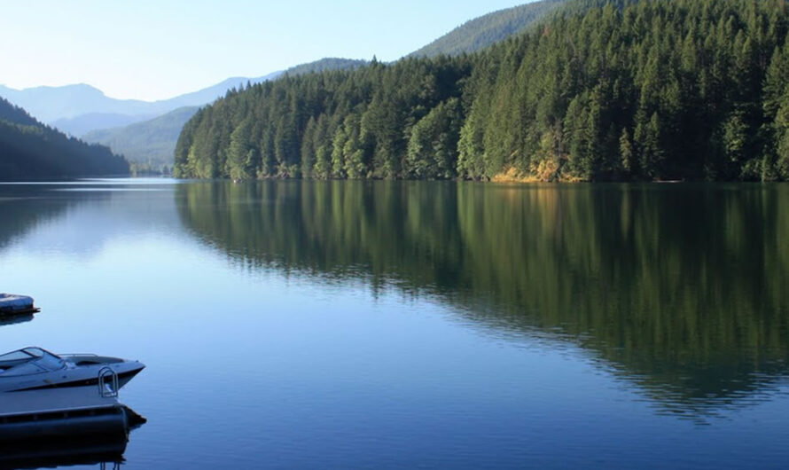 36岁男子殴打女友并向女友开枪被捕