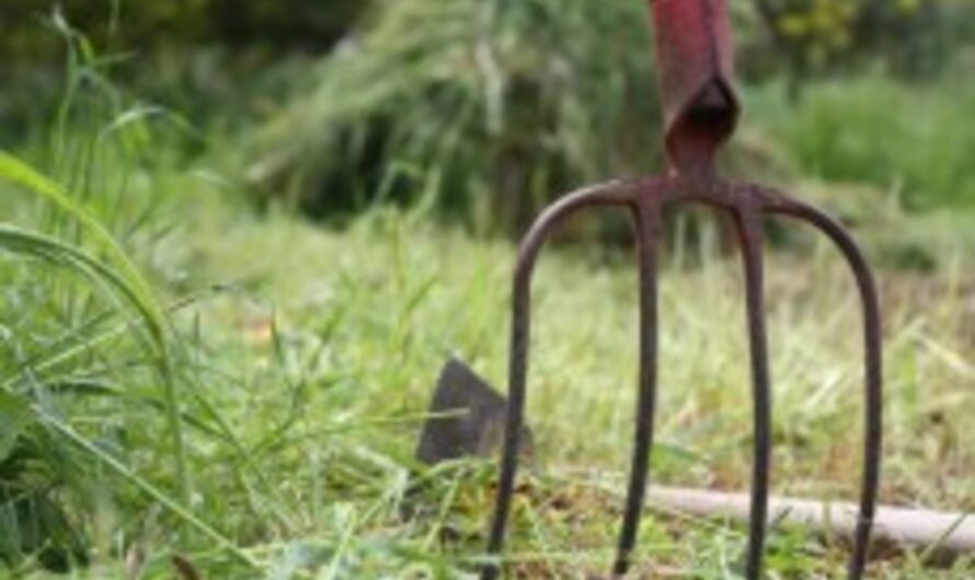 男子手持草叉闯入波特兰水务局！