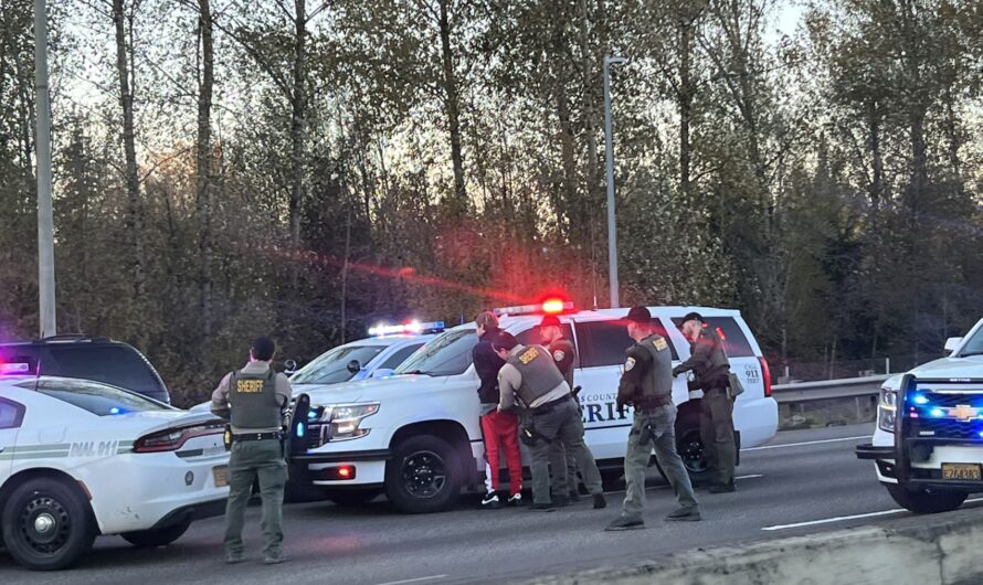 205号公路上几十辆警车封路，抓人！