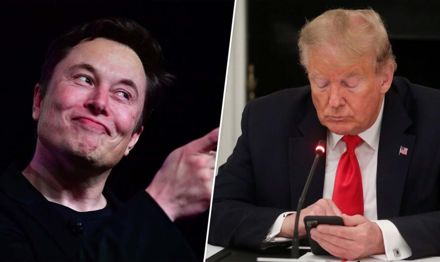 特朗普推特帐户恢复！粉丝数量飙升