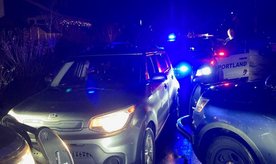 三观被颠覆了，美国波特兰10岁小孩专业偷车！