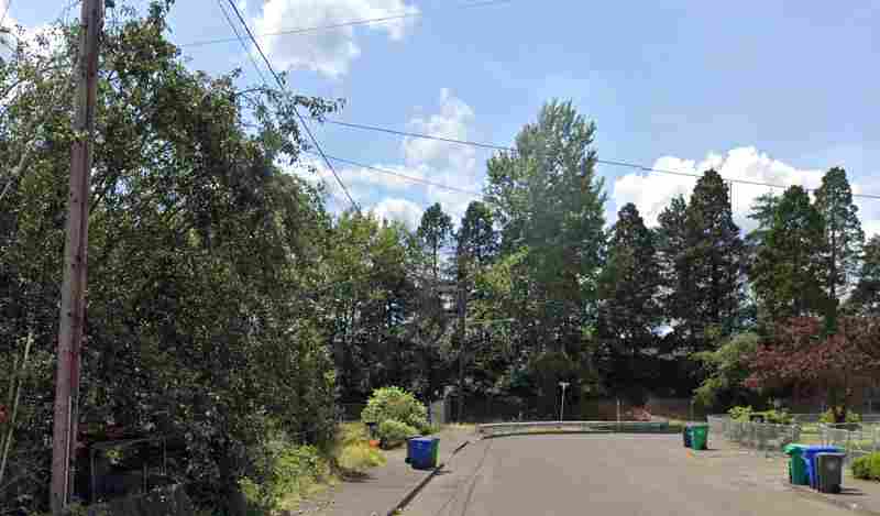 波特兰警察追捕盗车贼，被撞伤！