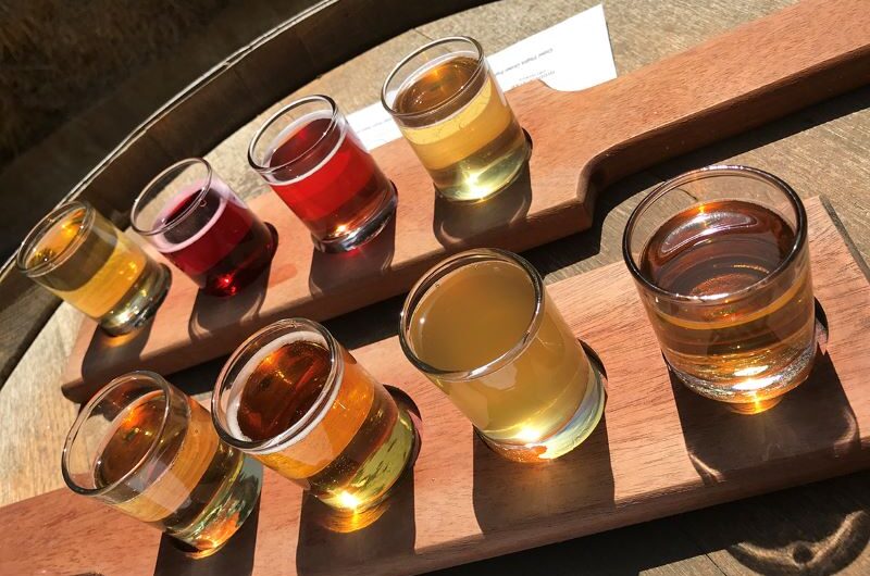 俄勒冈州立大学付钱请你品酒