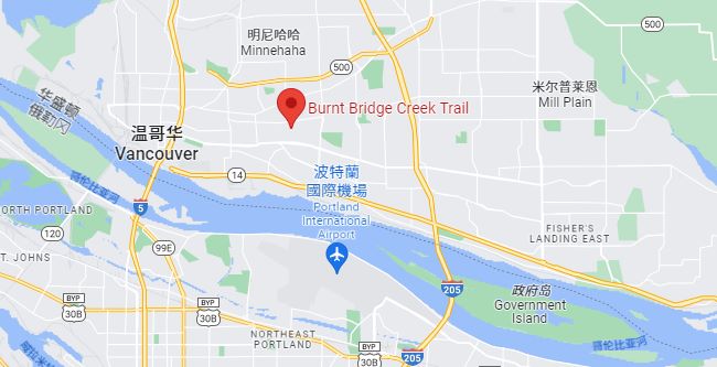 小温哥华发生灌木丛火灾，立即撤离