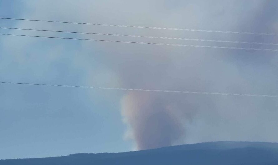 雪山附近发生火灾，已下令三级撤离立即走！