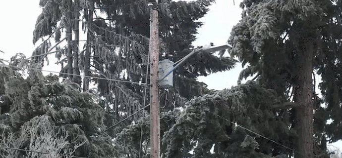 惨烈！电线掉落在车上，三人触电死亡！严寒已至11死！