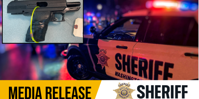 24岁女子被捕！内衣藏冰毒、枪支、吸毒用具