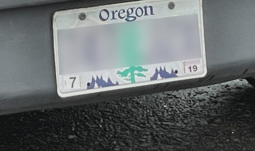 波特兰近一半的车牌过期，上路将被罚款！