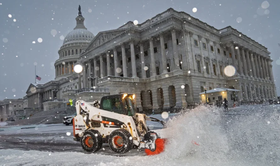 华盛顿特区迎今冬最强暴风雪，多地受灾严重