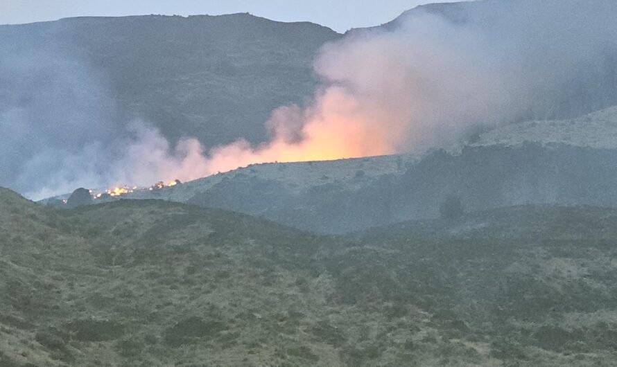 俄勒冈州2025年第一场山火爆发！